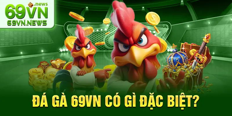 Đá gà 69VN có gì đặc biệt?