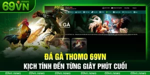 Đá Gà Thomo 69VN – Kịch Tính Đến Từng Giây Phút Cuối