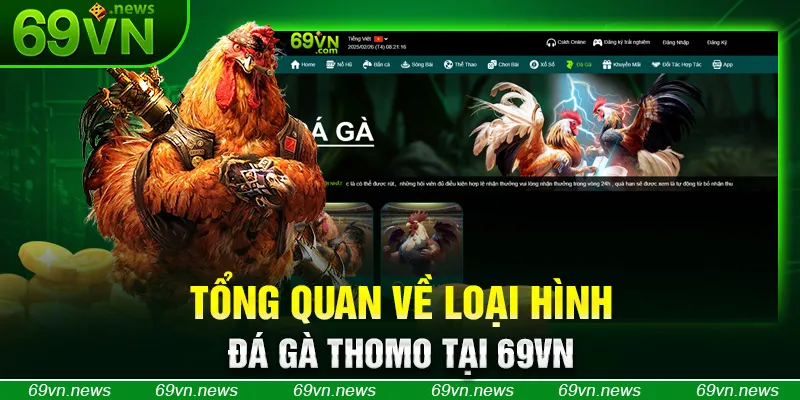 Tổng quan về loại hình đá gà Thomo tại 69VN