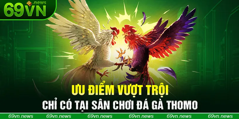 Ưu điểm vượt trội chỉ có tại sân chơi đá gà Thomo